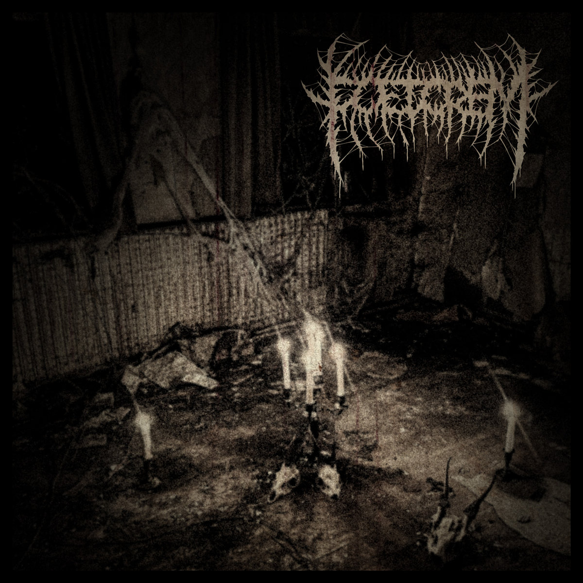 FOETOREM - Demo 2025 MCD